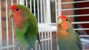 Podlaha bola vyznamenaná len potom, koga bola preč